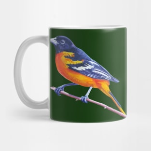 Baltimore Oriole - bird painting (no background) Mug